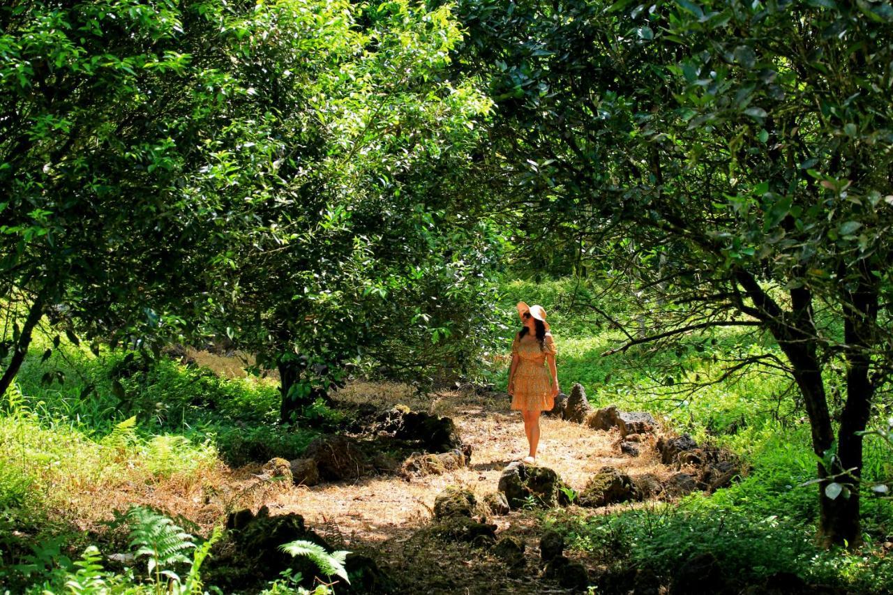 Natura Gardens Galapagos Bellavista  Luaran gambar