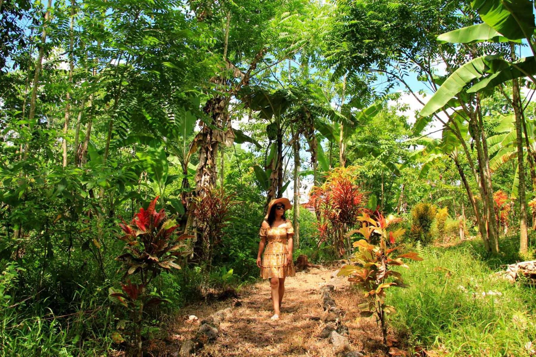 Natura Gardens Galapagos Bellavista  Luaran gambar